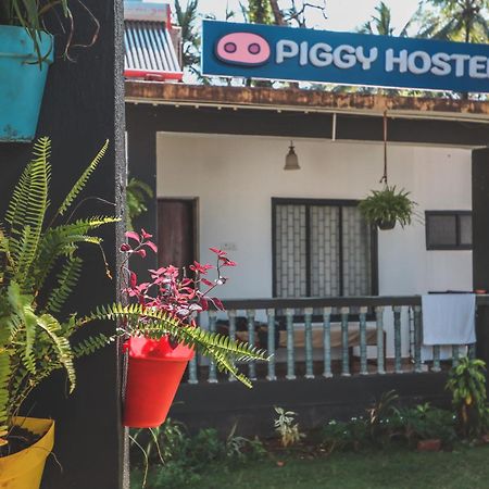 Piggy Hostel ואגאטור מראה חיצוני תמונה