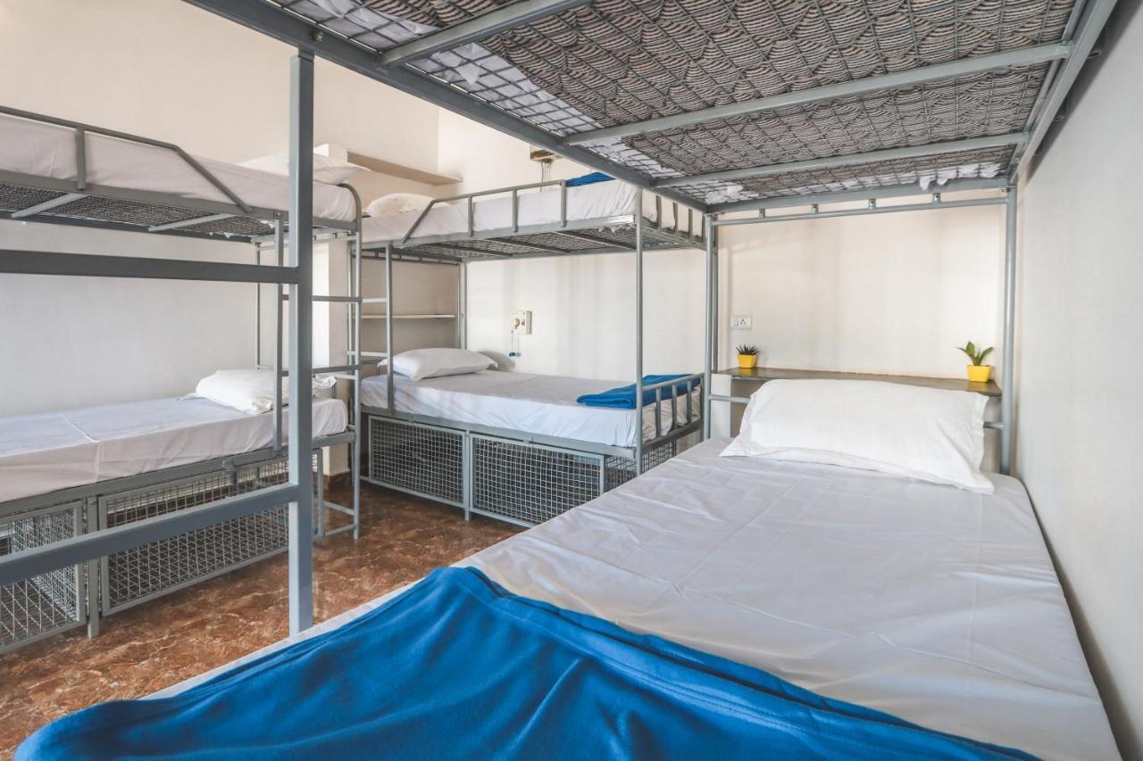Piggy Hostel ואגאטור מראה חיצוני תמונה