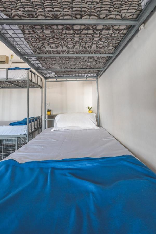 Piggy Hostel ואגאטור מראה חיצוני תמונה