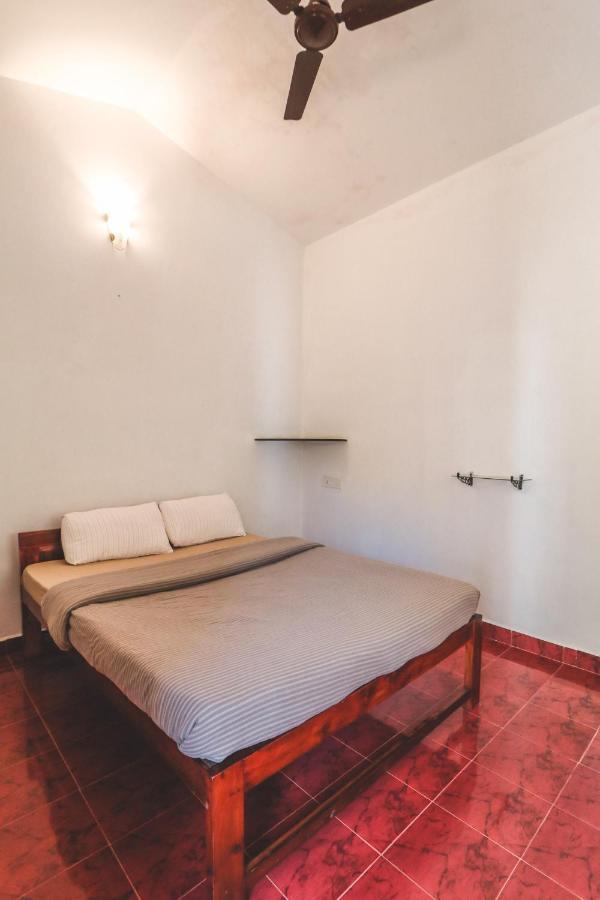 Piggy Hostel ואגאטור מראה חיצוני תמונה