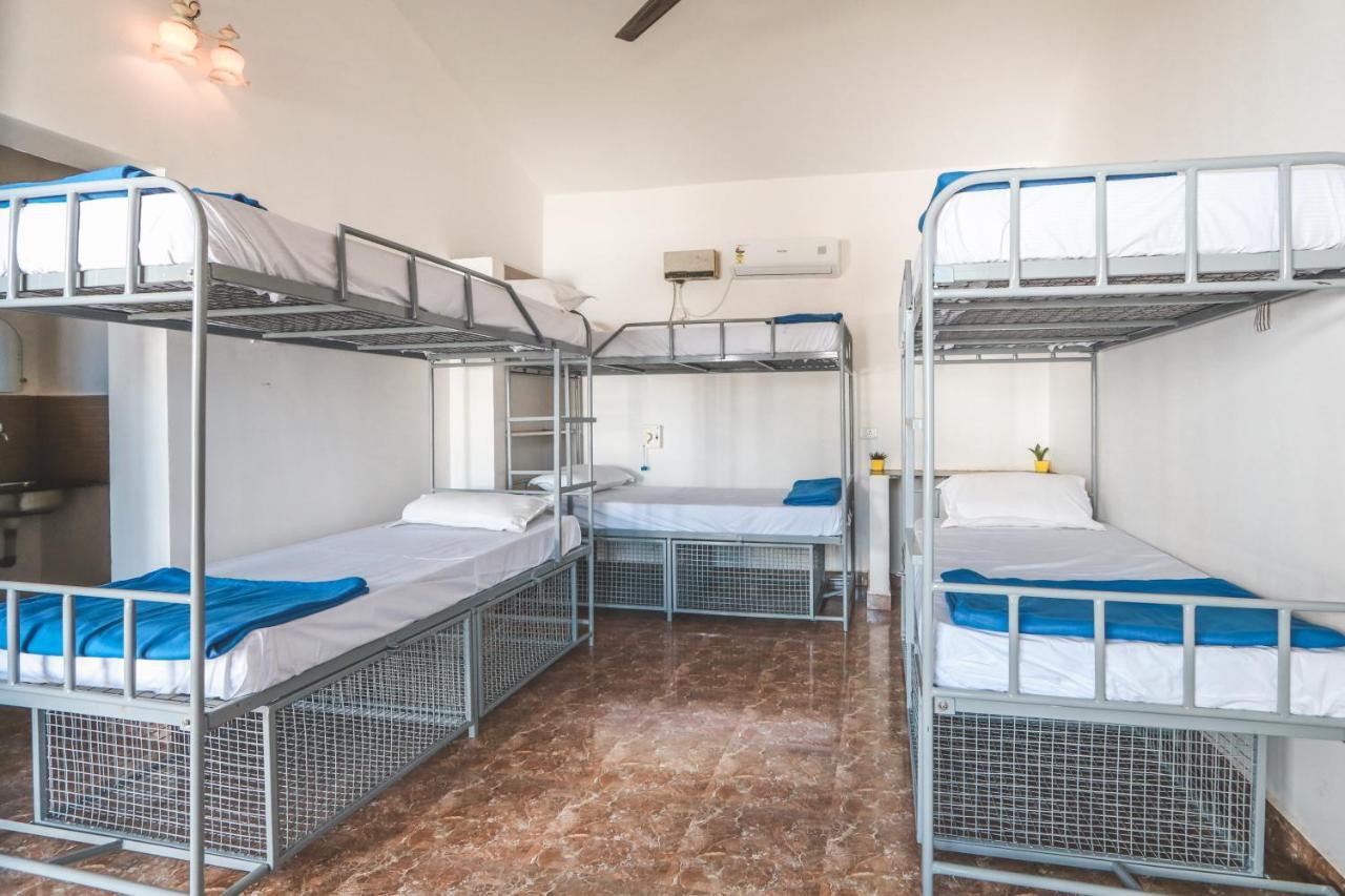 Piggy Hostel ואגאטור מראה חיצוני תמונה