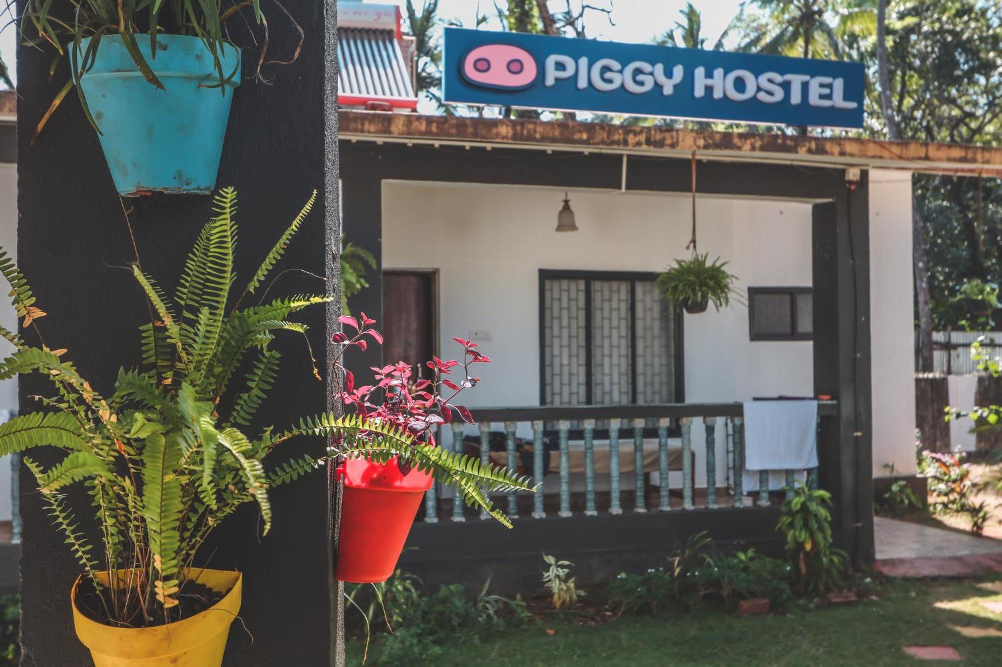 Piggy Hostel ואגאטור מראה חיצוני תמונה
