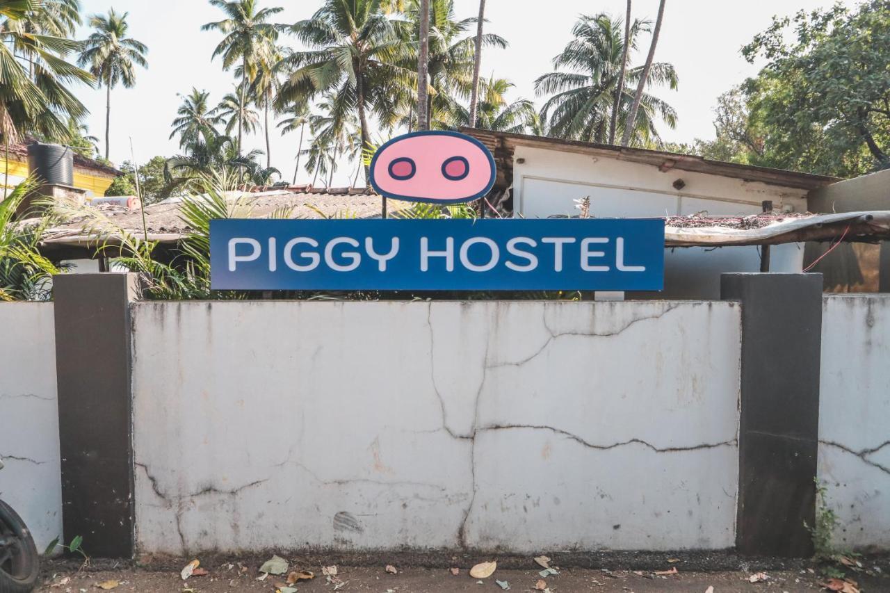 Piggy Hostel ואגאטור מראה חיצוני תמונה