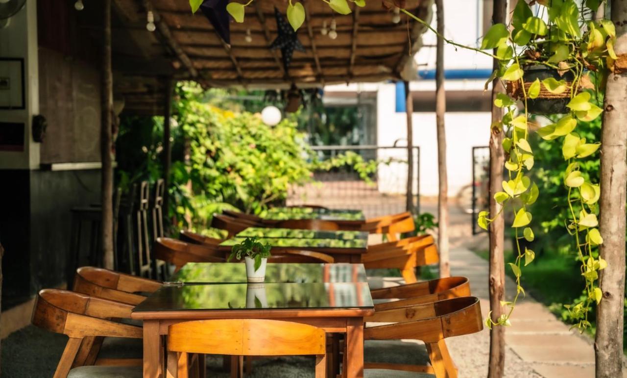 Piggy Hostel ואגאטור מראה חיצוני תמונה